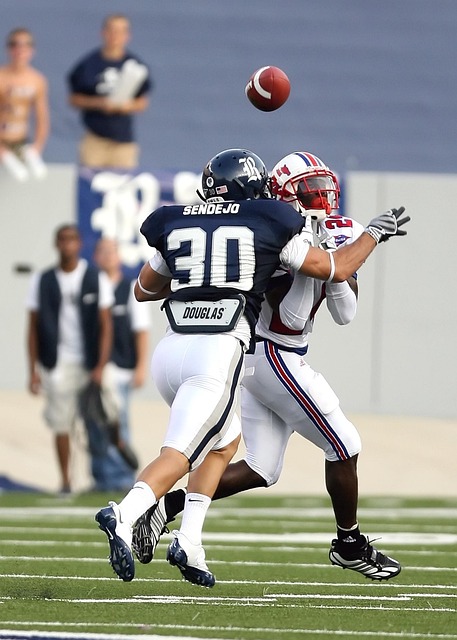 职业生涯蒙 职业生涯蒙